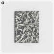 2-15_Karl-Blossfeldt_memo