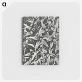 2-15_Karl-Blossfeldt_memo