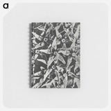 Asclepias speciosa - カール ブロスフェルト Memo.