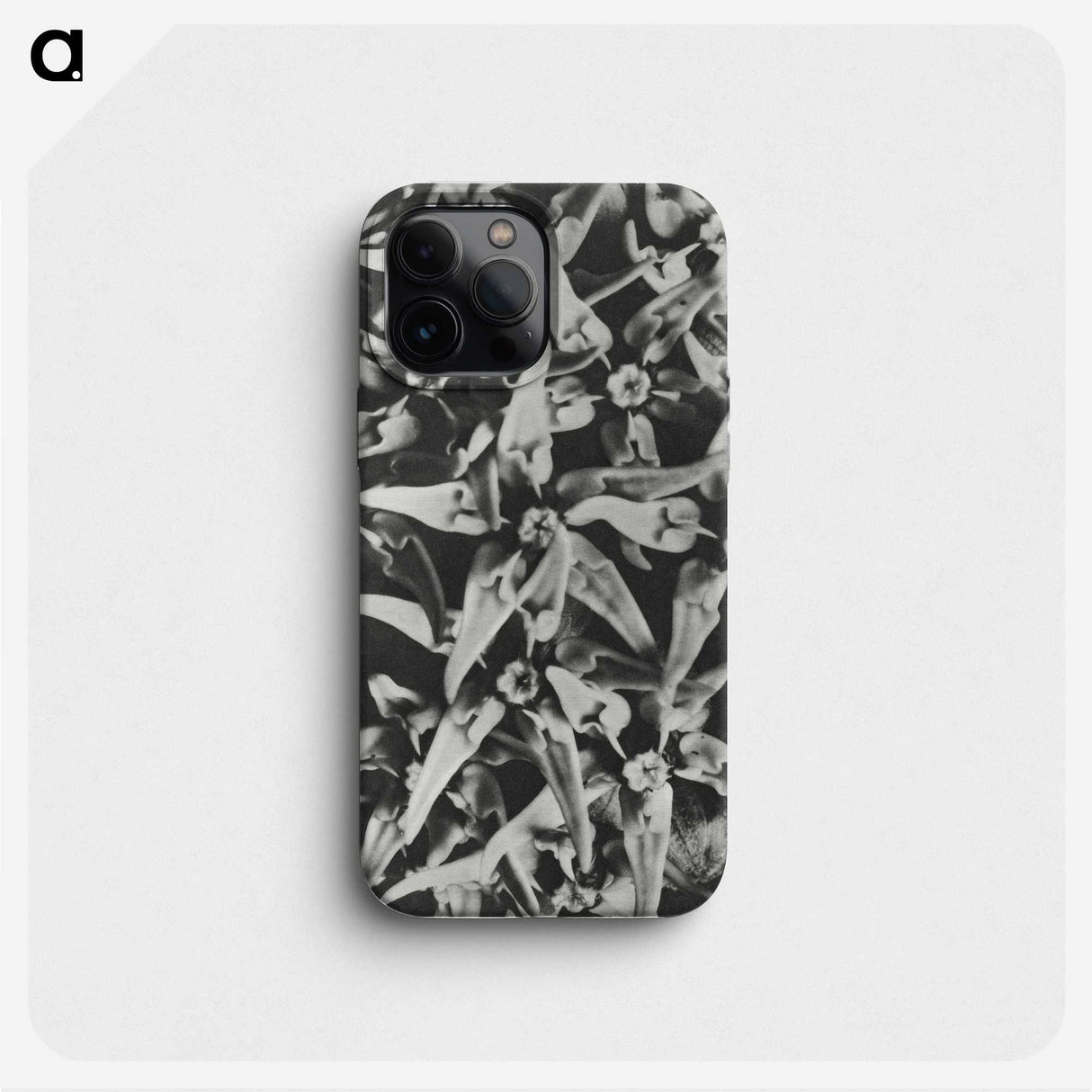 2-15_Karl-Blossfeldt_phone