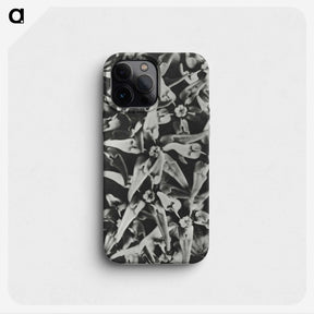 2-15_Karl-Blossfeldt_phone