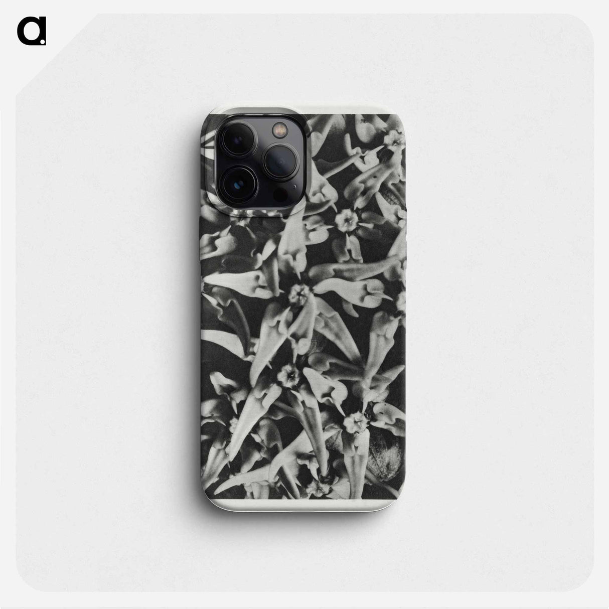 Asclepias speciosa - Karl Blossfeldt Phone Case.