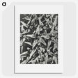 2-15_Karl-Blossfeldt_picture