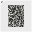 2-15_Karl-Blossfeldt_postcard