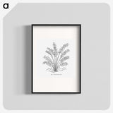 2-15_Les-Palmiers-Histoire-Iconographique_blk