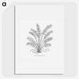 2-15_Les-Palmiers-Histoire-Iconographique_picture