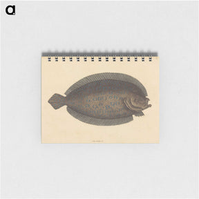 2-15_Mark-Catesby_memo