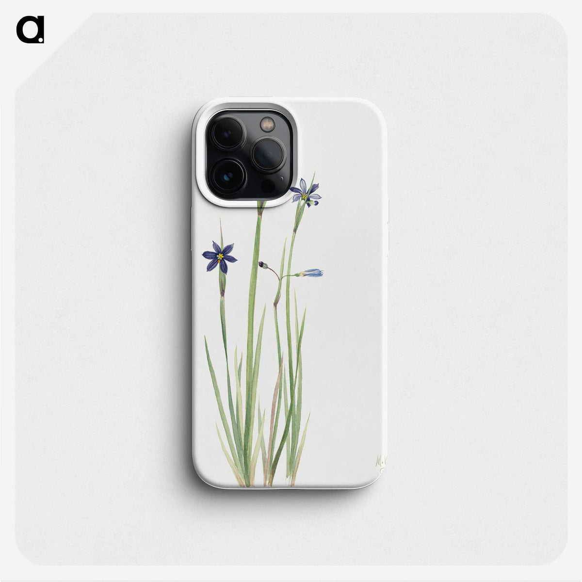 2-15_Mary-Vaux-Walcott_phone