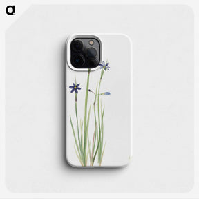 2-15_Mary-Vaux-Walcott_phone