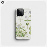 2-15_Maurice-Pillard-Verneuil_phone