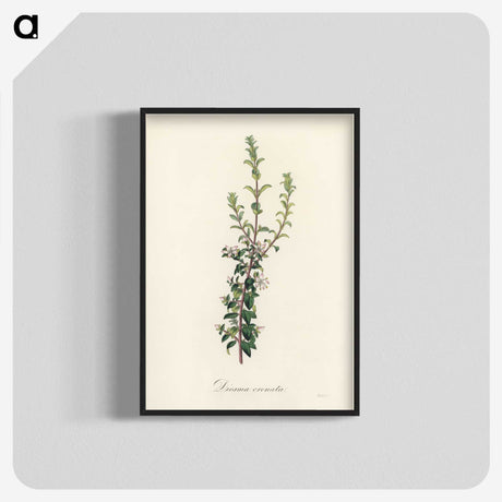 2-15_Medical-Botany_blk-crop