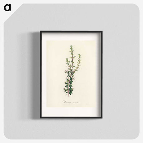 2-15_Medical-Botany_blk