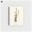 アートメモ帳-Diosma crenata
 - 薬用植物学 Memo.