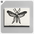 2-15_Moths-and-Butterflies-of-the-United-States_canvas