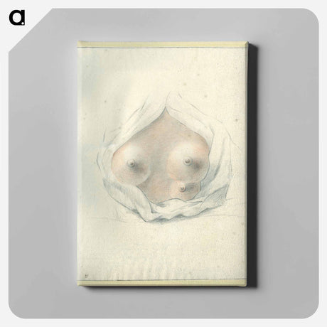アートパネル-Three-Breasted Woman
 - 国立医学図書館 Canvas.