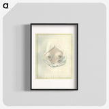 2-15_National-Library-of-Medicine_blk