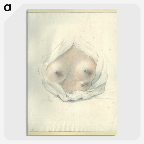 2-15_National-Library-of-Medicine_picture-crop