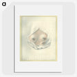 2-15_National-Library-of-Medicine_picture