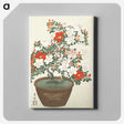 2-15_Ohara-Koson_canvas