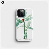 Scarlet banana illustration - ピエール ジョゼフ ルドゥーテ Phone Case.