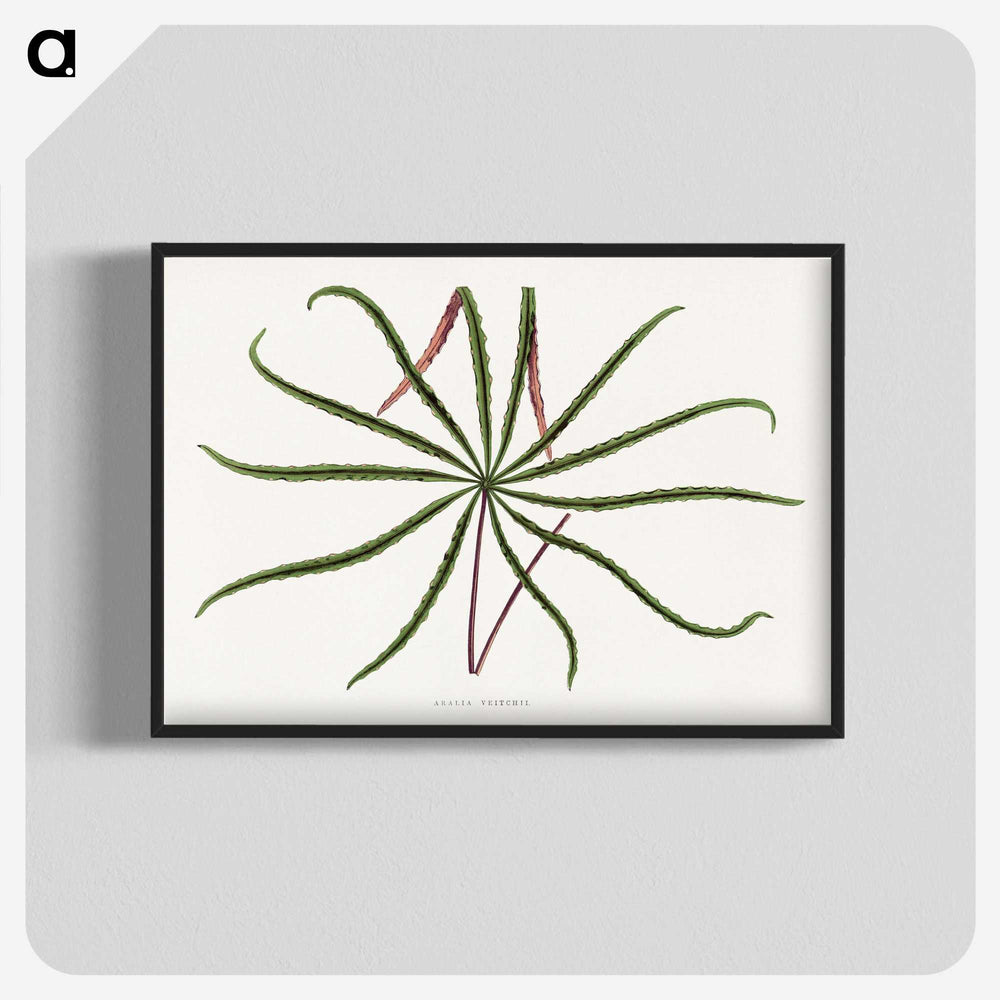 2-15_Plants-with-Colored-Foliage_blk-crop
