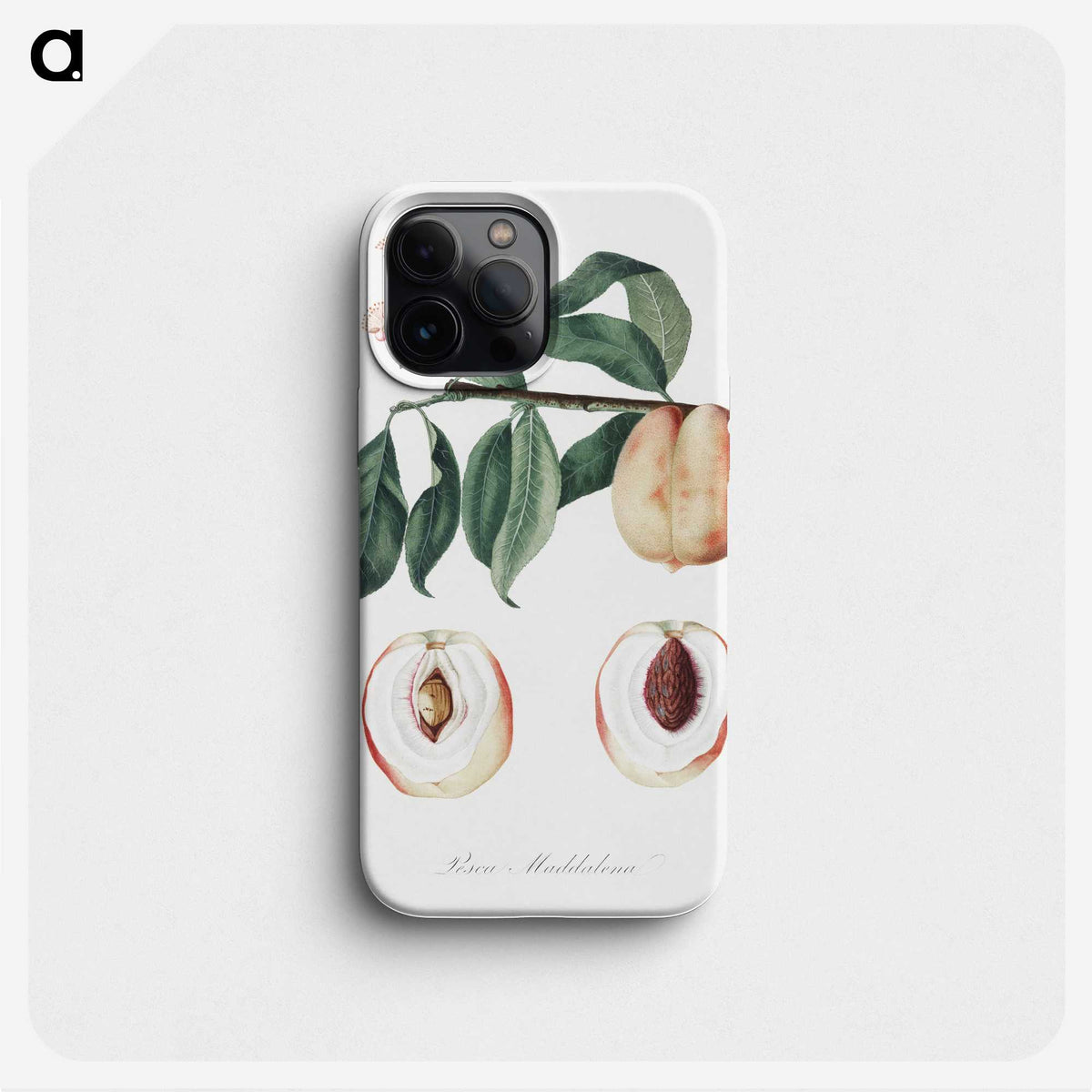 2-15_Pomona-Italiana_phone