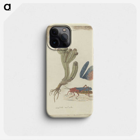 2-15_Robert-Jacob-Gordon_phone