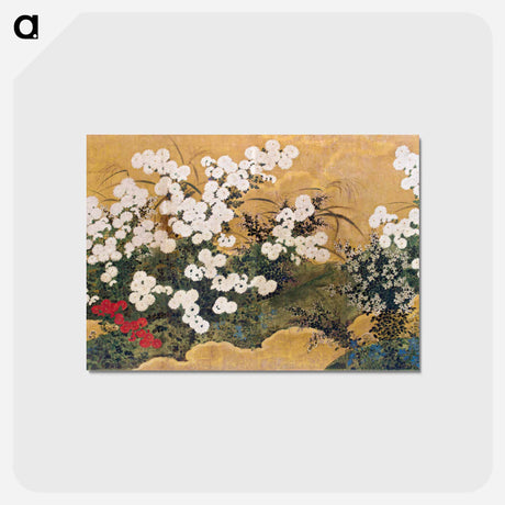 アートポストカード-Chrysanthemums and Autumnal Plants
 - セントルイス美術館 Postcard.