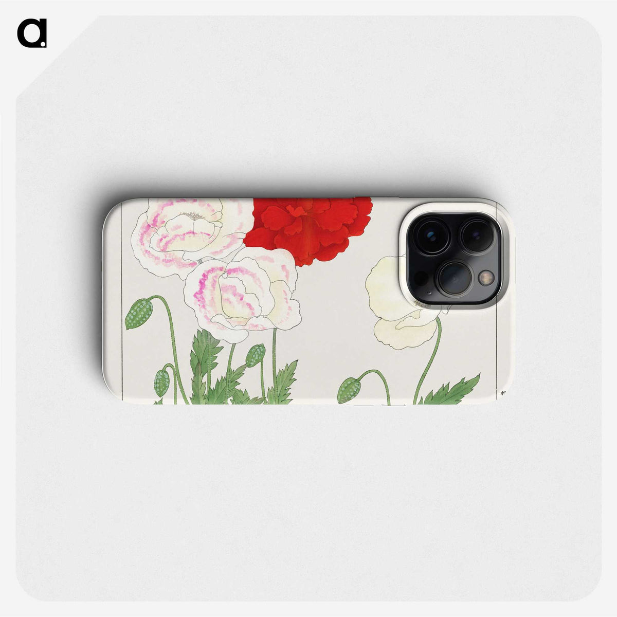 2-15_Seiyo-Soka-Zufu_phone