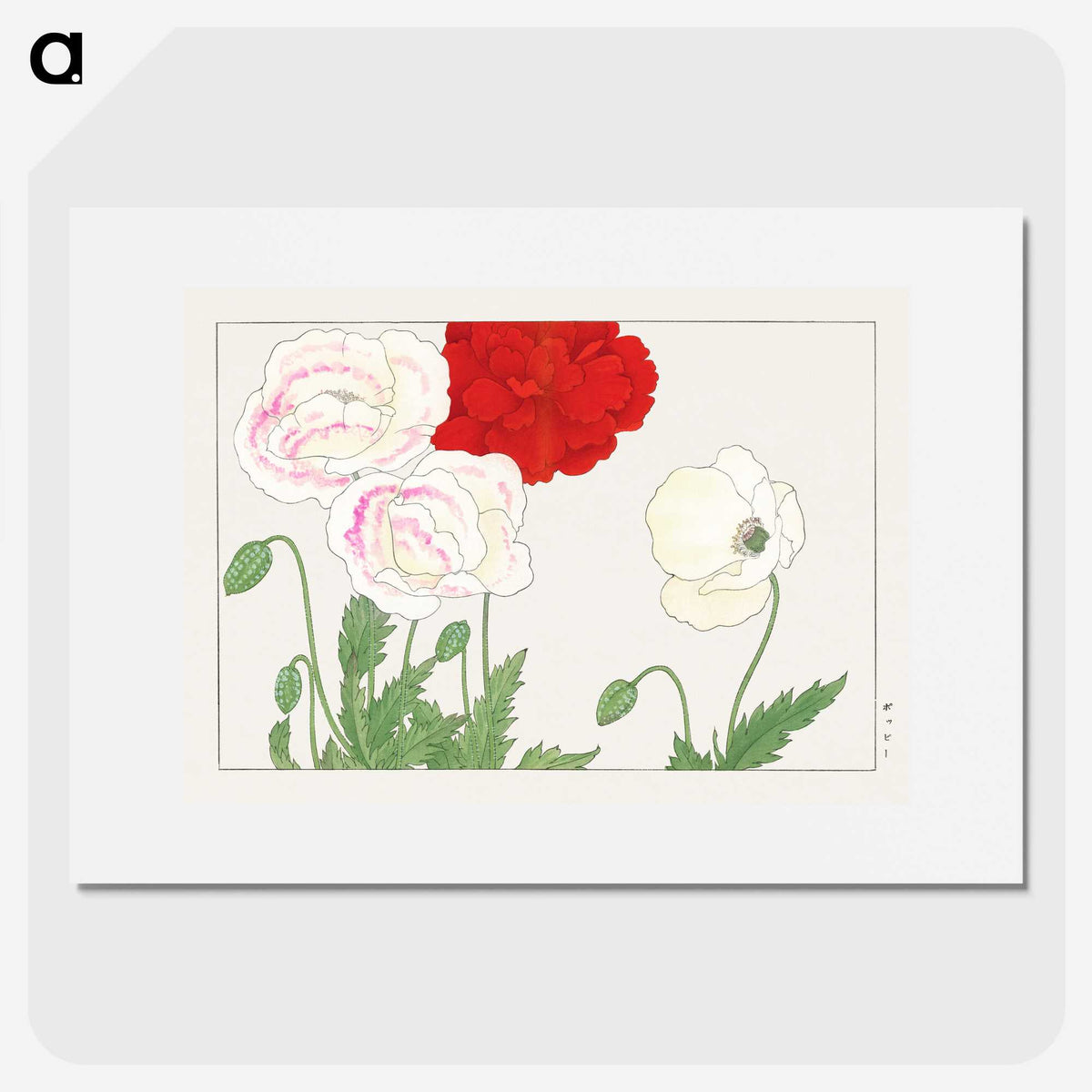 2-15_Seiyo-Soka-Zufu_picture