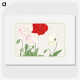 2-15_Seiyo-Soka-Zufu_picture