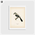 アートポストカード-Great Grey Shrike
 - スヴェンスカ フォグラル Postcard.