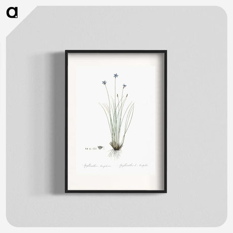 2-15_The-Lilies_blk