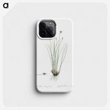 2-15_The-Lilies_phone