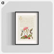 アートポスター-Damselfly, Carnation, Firebug, Caterpillar, Carnelian Cherry, and Centipede from Mira Calligraphiae Monumenta
 - 書道のお手本 Poster.