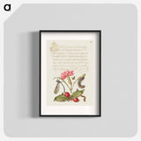アートポスター-Damselfly, Carnation, Firebug, Caterpillar, Carnelian Cherry, and Centipede from Mira Calligraphiae Monumenta
 - 書道のお手本 Poster.