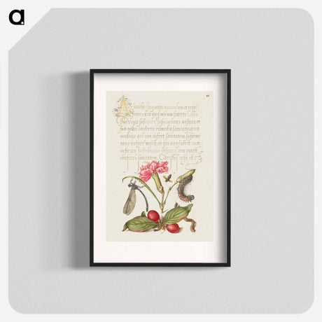 アートポスター-Damselfly, Carnation, Firebug, Caterpillar, Carnelian Cherry, and Centipede from Mira Calligraphiae Monumenta
 - 書道のお手本 Poster.