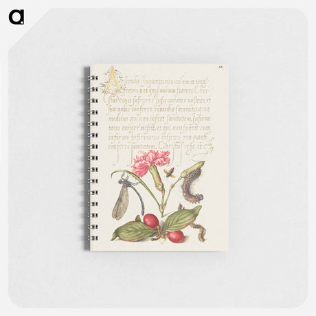 アートメモ帳-Damselfly, Carnation, Firebug, Caterpillar, Carnelian Cherry, and Centipede from Mira Calligraphiae Monumenta
 - 書道のお手本 Memo.