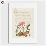 アートポスター-Damselfly, Carnation, Firebug, Caterpillar, Carnelian Cherry, and Centipede from Mira Calligraphiae Monumenta
 - 書道のお手本 Poster.