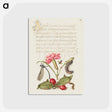 アートポストカード-Damselfly, Carnation, Firebug, Caterpillar, Carnelian Cherry, and Centipede from Mira Calligraphiae Monumenta
 - 書道のお手本 Postcard.
