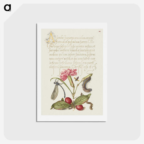 2-15_The-Model-Book-of-Calligraphy_hagaki