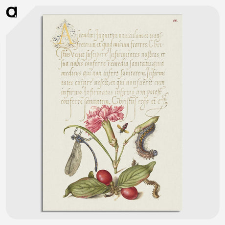 2-15_The-Model-Book-of-Calligraphy_picture-crop