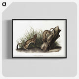 2-15_The-Viviparous-Quadrupeds_blk-crop