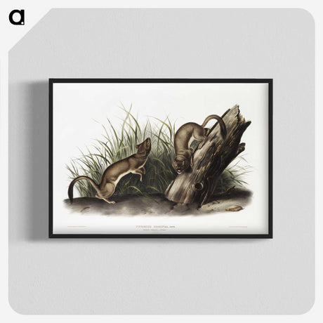 2-15_The-Viviparous-Quadrupeds_blk-crop