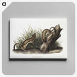 2-15_The-Viviparous-Quadrupeds_canvas
