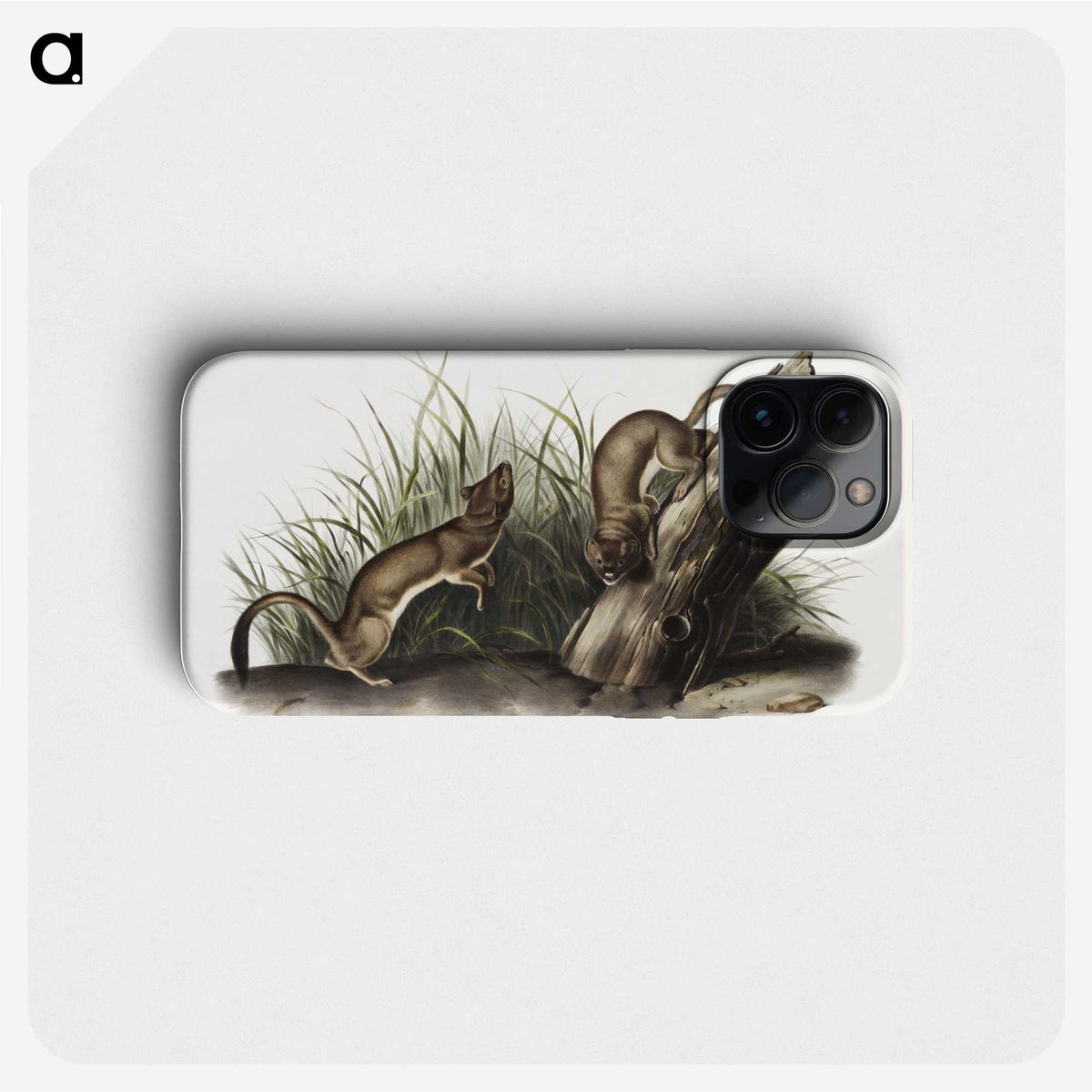 2-15_The-Viviparous-Quadrupeds_phone