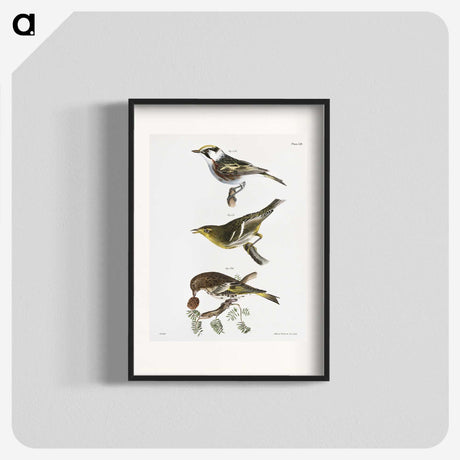 2-15_Zoology-of-New-York_blk