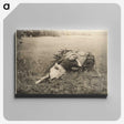 2-16_Alfred-Stieglitz_canvas