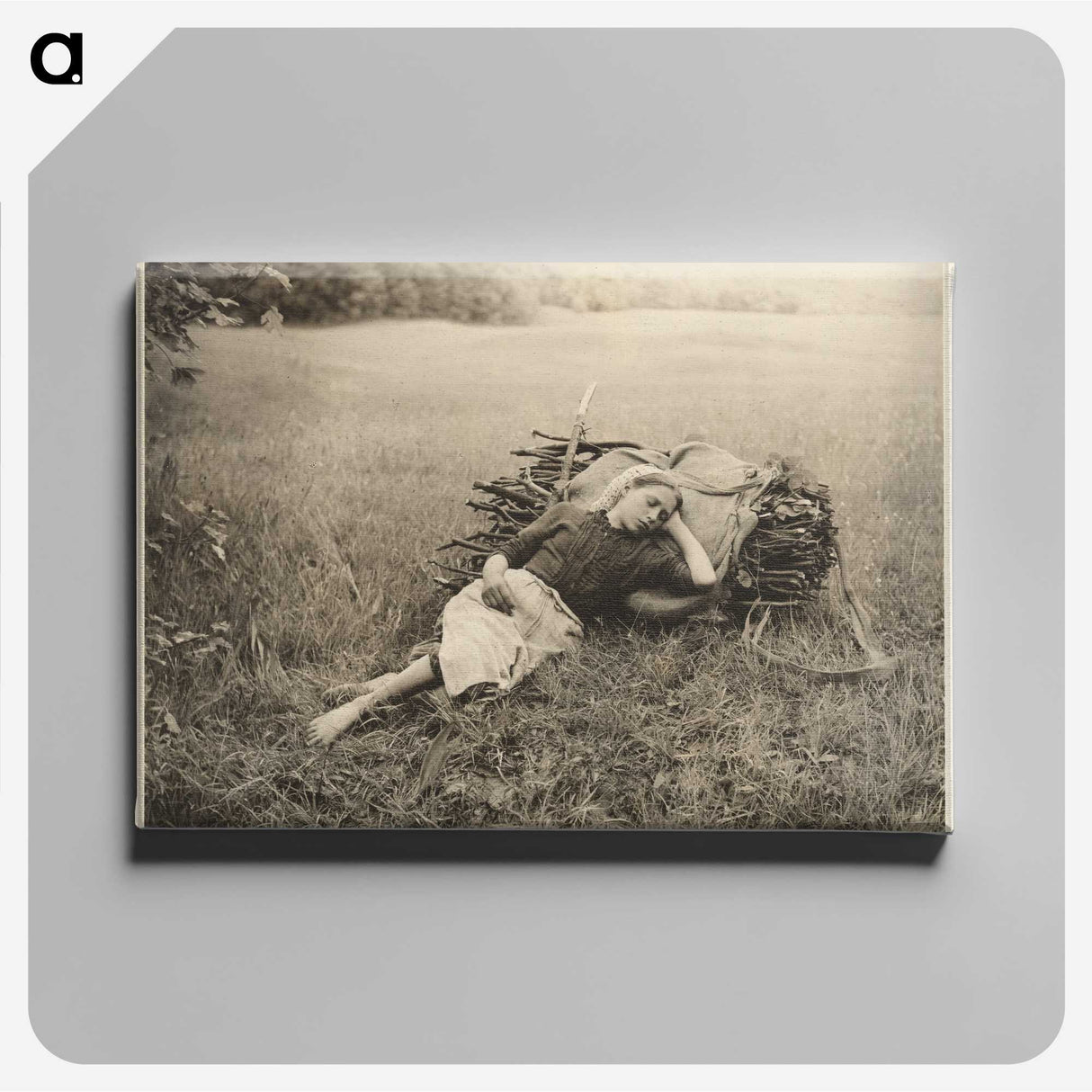 2-16_Alfred-Stieglitz_canvas