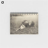 2-16_Alfred-Stieglitz_memo
